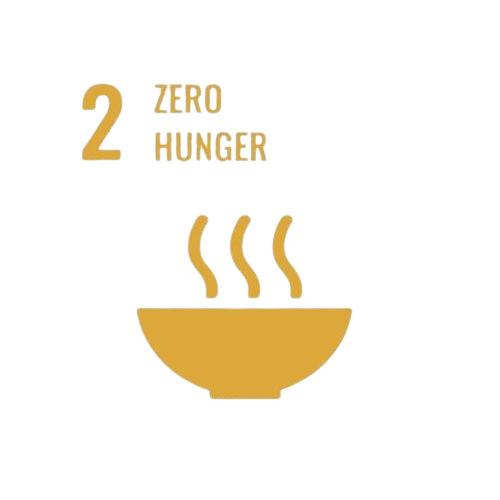 SDG 2 Zero Hunger